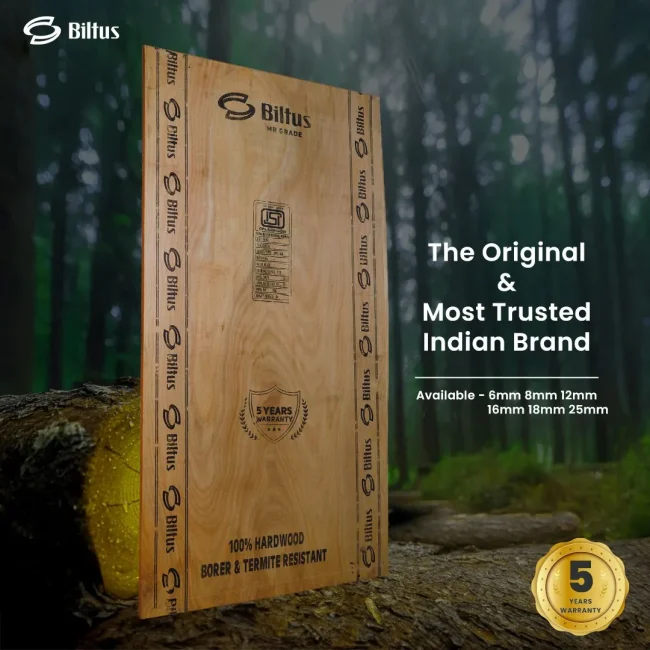 biltus-8-ft-x-4-ft-18-mm-mr-plywood-1